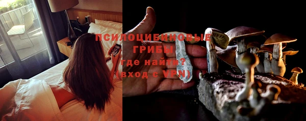 ПСИЛОЦИБИНОВЫЕ ГРИБЫ Алексеевка