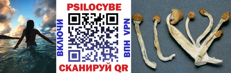 купить наркотики сайты  hydra рабочий сайт  Псилоцибиновые грибы ЛСД  Елец 