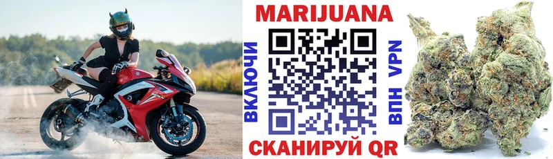 Марихуана сатива блэк спрут зеркало Елец где можно купить